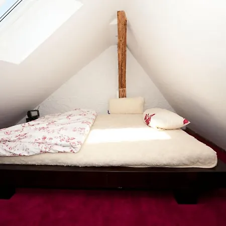 Apartment Lux In Der Stadt